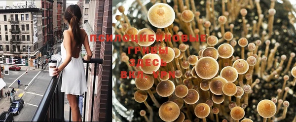 меф Осинники