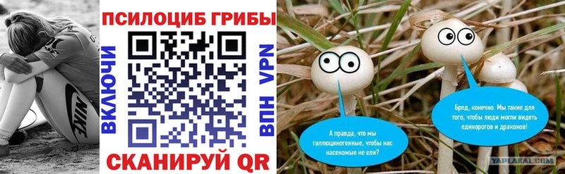 Псилоцибиновые грибы GOLDEN TEACHER  сколько стоит  Тюкалинск 